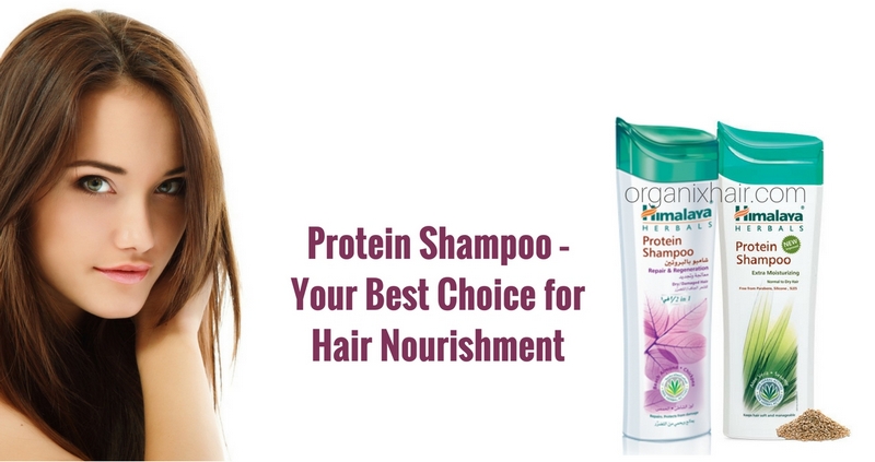 Protein Shampoo – Your Best Choice for Hair Nourishment